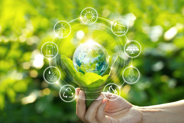 Qld Goverment Environmental Grant