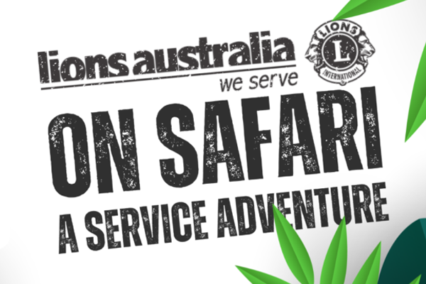 Lions on Safari Promotional Pack