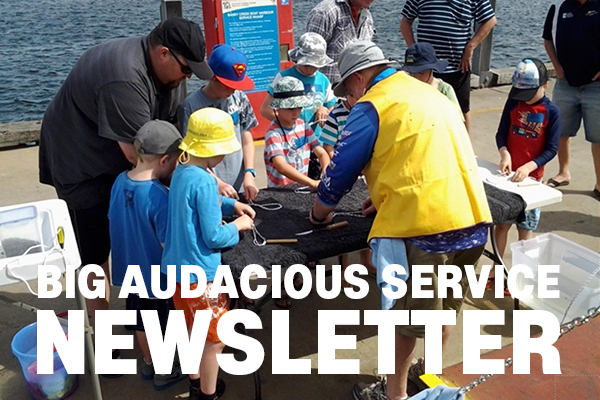 BIG AUDACIOUS SERVICE - Quarterly Newsletter