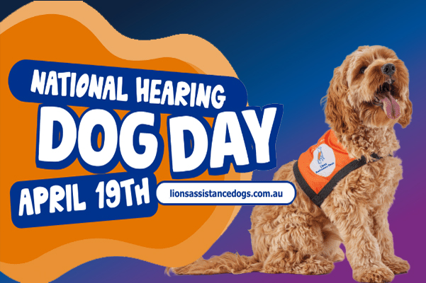 Latest News - Lions Assistance Dogs