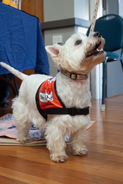 Lions Convention 2025 Stanthorpe 005