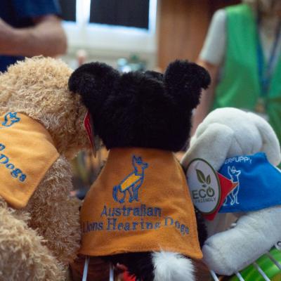 Lions Convention 2025 Stanthorpe 010